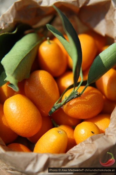 Kumquats de Jean-Mario Medecin